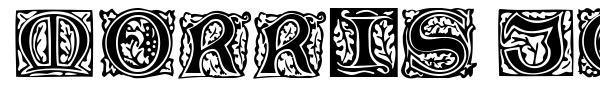 Morris Jenson Initialen font preview